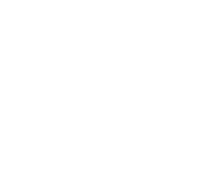 REV Digital Solutions